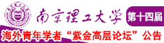 白虎16p南京理工大学第十四届海外青年学者紫金论坛诚邀海内外英才！